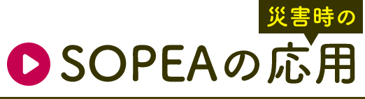 SOPEAの応用