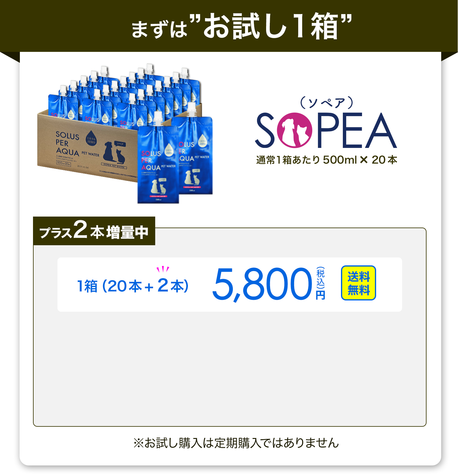 万が一に備えて今すぐSOPEAをお試し購入する