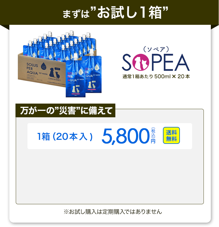 万が一に備えて今すぐSOPEAをお試し購入する