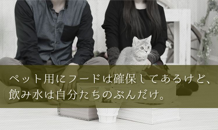 ペット用にフードは確保してあるけど飲み水は自分たちのぶんだけ