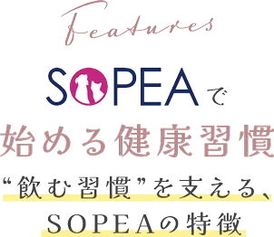 SOPEAで始める健康習慣　“飲む習慣”を支える、SOPEAの特徴