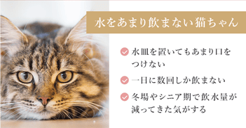水をあまり飲まない猫ちゃん　水皿を置いてもあまり口をつけない　一日に数回しか飲まない　冬場やシニア期で飲水量が減ってきた気がする