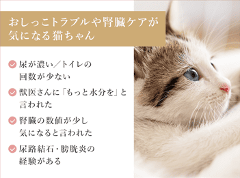 おしっこトラブルや腎臓ケアが気になる猫ちゃん　尿が濃い／トイレの回数が少ない　獣医さんに「もっと水分を」と言われた　腎臓の数値が少し気になると言われた　尿路結石・膀胱炎の経験がある