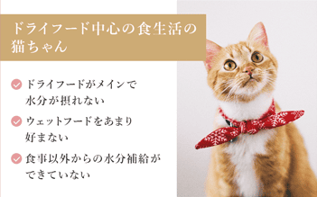 ドライフード中心の食生活の猫ちゃん　ドライフードがメインで水分が摂れない　ウェットフードをあまり好まない　食事以外からの水分補給ができていない