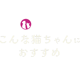 SOPEAはこんな猫ちゃんにおすすめ